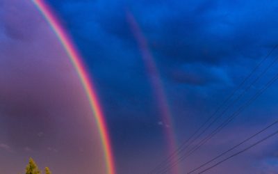 Check Out My Rainbow