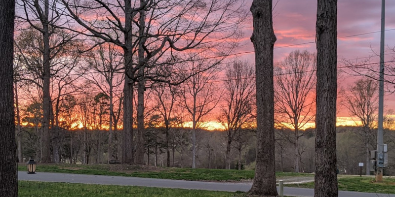 I Want, I Want, I Want