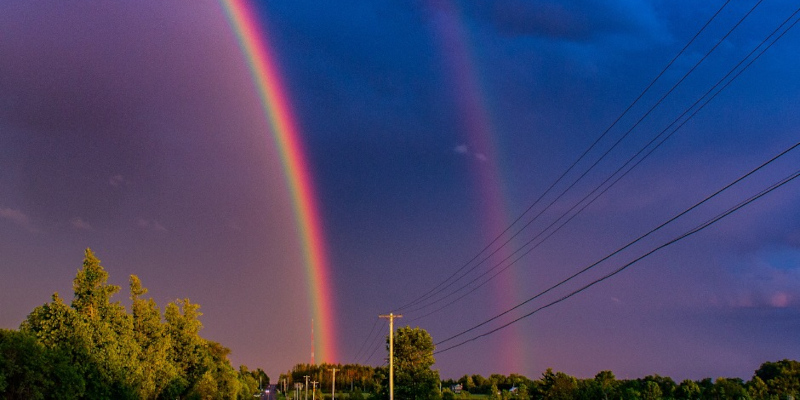 Check Out My Rainbow